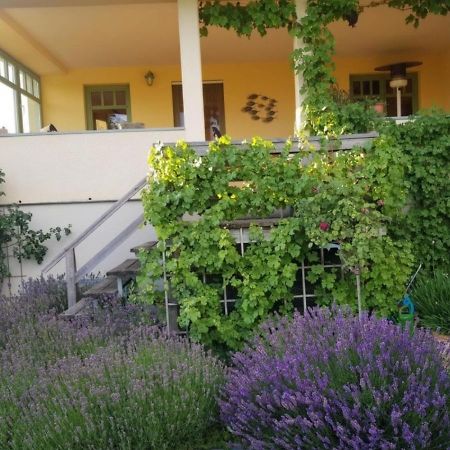 Ferienhaus Schiller Варен Екстериор снимка