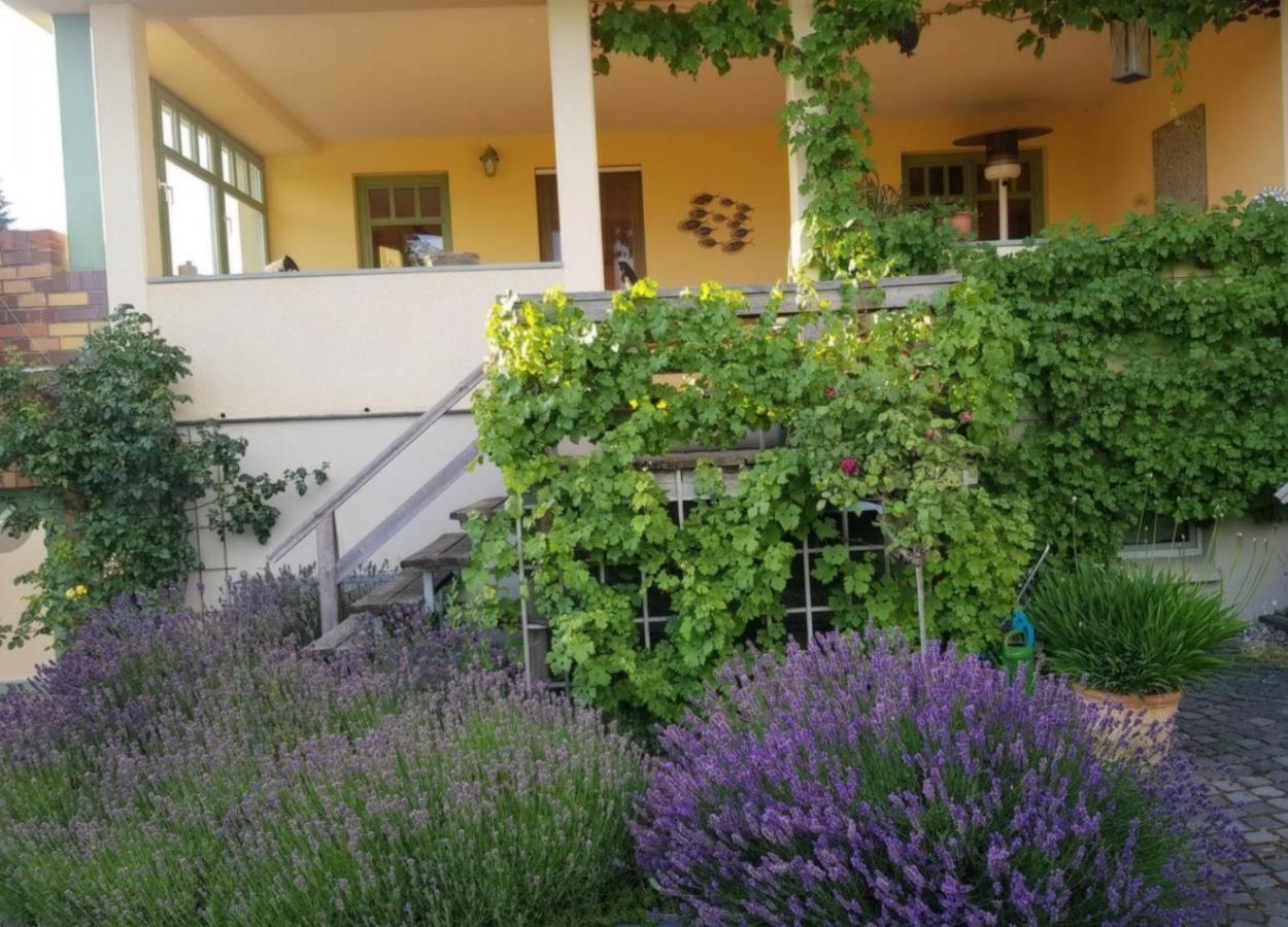 Ferienhaus Schiller Варен Екстериор снимка